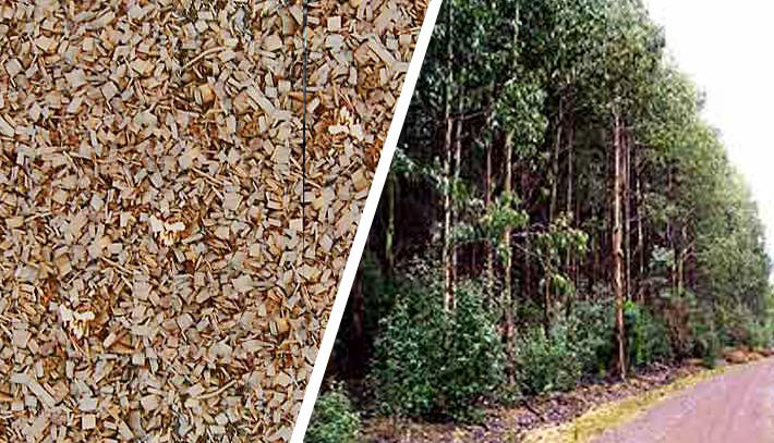 NITEN FACTS NITEN FACTS