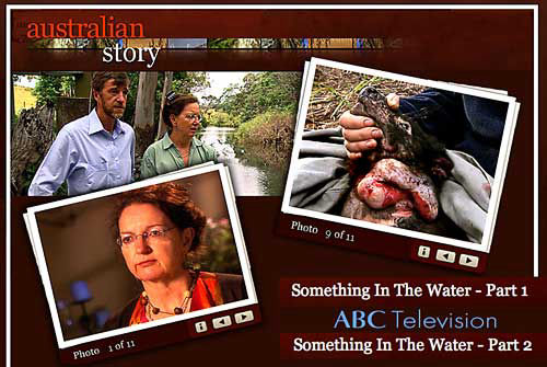 SOMETHING IN THE WATER TASMANIA SOMETHING IN THE WATER TASMANIA